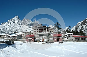 Buddhist monastery in the Himalayas