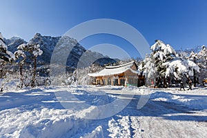 Buddhist monastery among the snowy forest in the winter taiga. Beautiful and uninhabited