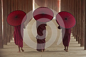 Buddhist monk photo