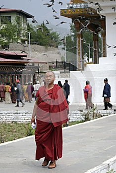 Buddhist monk, Thimphu, Bhutan