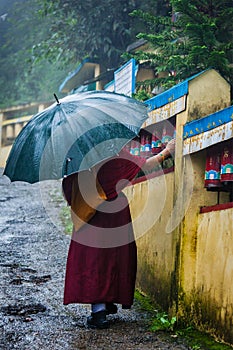 Buddhist monk with umbrella in McLeod Ganj