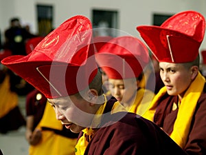 Buddhist Monks