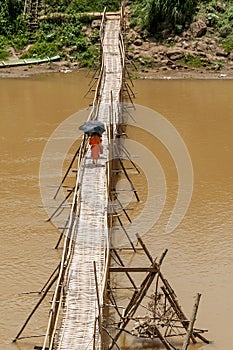 Buddhist monks cross the Nam Khan river on a bamboo bridge, protecting themselves from the sun with umbrellas, Luang Prabang, Laos