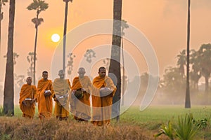 Buddhist monks going about to receive food from villager in morning in Thailand photo