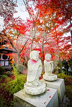 Buddhist novice in autumn