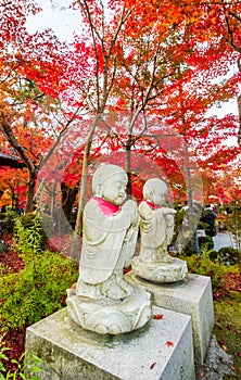 Buddhist novice in autumn