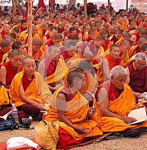 Buddhist nuns
