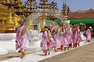 Buddhist nuns in Myanmar