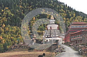 Buddhist pagodas