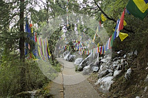 A Buddhist path in forest and flags with mantras
