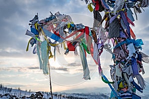 The Buddhist pray in trees