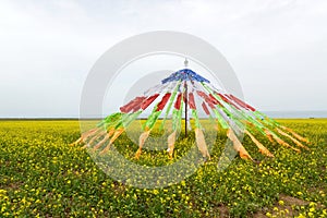 Buddhist prayer flags