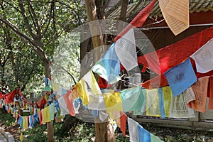 Buddhist prayer flags