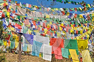 Buddhist prayer flags in Dharamshala, India