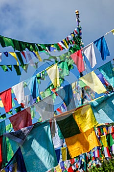 Buddhist prayer flags lunga in McLeod Ganj, Himachal Pradesh, India