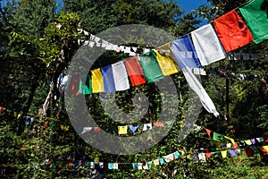 Buddhist prayer flags lunga in McLeod Ganj, Himachal Pradesh, India