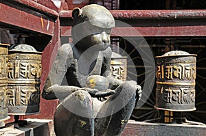 Buddhist prayer wheels an monkey at Golden Temple