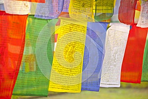 Buddhist praying flags in Lumbini