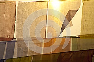 Buddhist praying flags at the sunset  in Lumbini