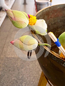Buddhist Putting Lotuses and Incense Sticks to Buddha