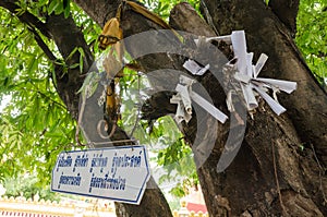 Buddhist relics