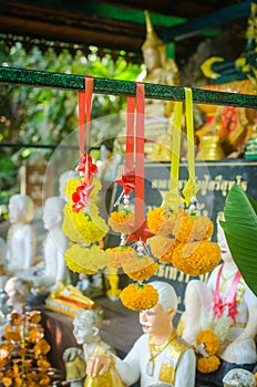 Buddhist religious offerings, Yellow marigold garland, in thailand temple