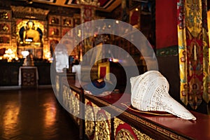 A Buddhist ritual musical instrument - big white shell, in the gompa of a Buddhist monastery