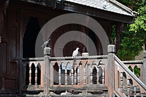 The Buddhist Scripture Library or Wat Thung Si Muang, Ubon Ratchathani, Thailand