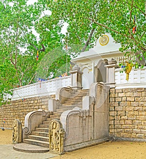 The Buddhist Shrine photo