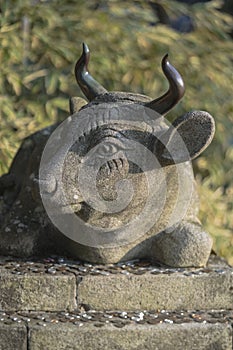 Buddhist stone statue of a bull lying with coins placed as an of