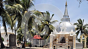 Buddhist Stupa under palm trees, Sri Lanka