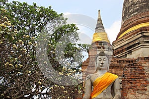 Buddhist Temple With Buddha Statue And Plumeria