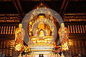 Buddhist Temple. Golden statue of Buddha