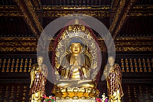 Buddhist Temple. Golden statue of Buddha-- southern Xian