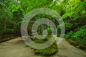 Buddhist temple, Kamakura, Japan