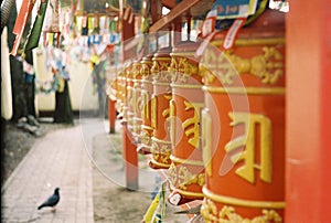 Buddhist temple in Petersburg