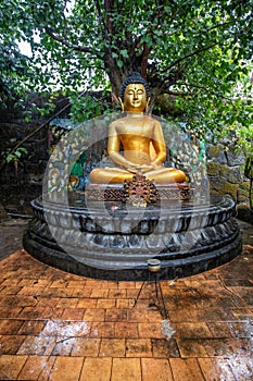 Buddhist temple in the rain. The Brahmavihara Arama Temple with beautiful gardens and monastery. Tropical plants, Banjar, Bali