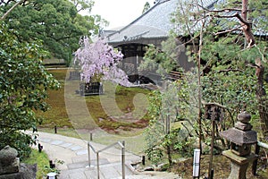 buddhist temple (shoren-in) in kyoto (japan)