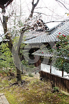 buddhist temple (shoren-in) in kyoto (japan)