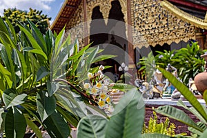 Buddhist temples in Thailand