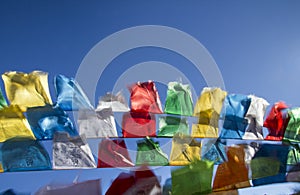 Buddhist tibetan prayer flags in the wind
