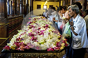 Buddhist worshippers pray in front of a bed of lotus flowers in the Temple of the Sacred Tooth Relic in Kandy, Sri Lanka.