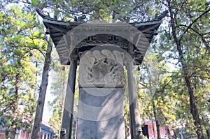 Buddist Dragon Stele shaolin temple