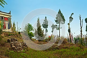 Buddist religious prayer flags and trees outside monastery in Sikkim, India. Blue sky background