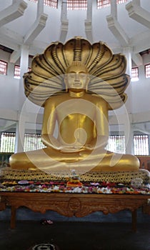 Buddist temple of seruvila.