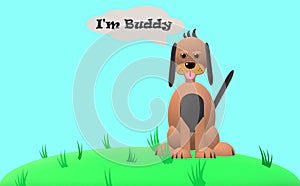 Buddy, the dog in the grass with blue background