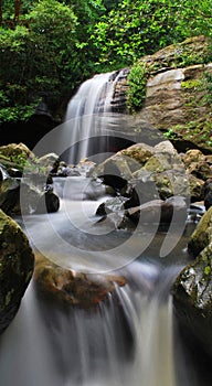 Buderim Falls