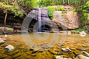 Buderim forest park waterfall flowing down a cliff into a clear plunge pool filled with rocks