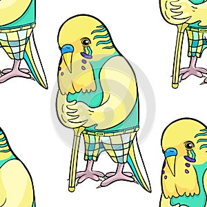 Budgerigar old in pants leans on a stick. vector illustration