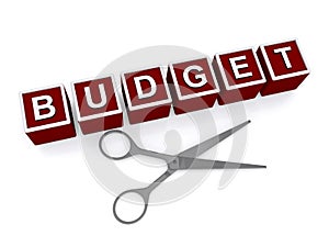 Budget cut